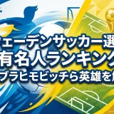スウェーデンサッカー選手の有名人ランキング｜イブラヒモビッチら英雄を解説